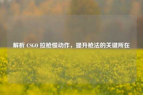 解析 CSGO 拉枪慢动作，提升枪法的关键所在