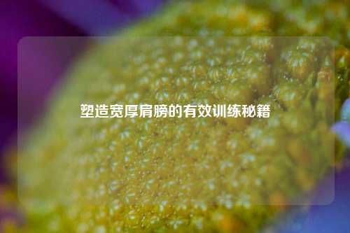 塑造宽厚肩膀的有效训练秘籍