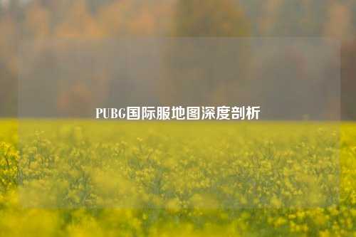 PUBG国际服地图深度剖析