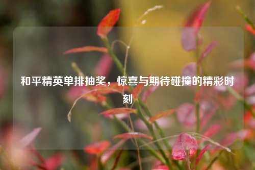 和平精英单排抽奖,惊喜与期待碰撞的精彩时刻