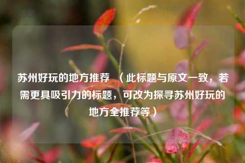 苏州好玩的地方推荐 (此标题与原文一致,若需更具吸引力的标题,可改为探寻苏州好玩的地方全推荐等)