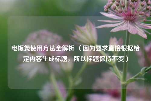 电饭煲使用方法全解析 （因为要求直接根据给定内容生成标题，所以标题保持不变）