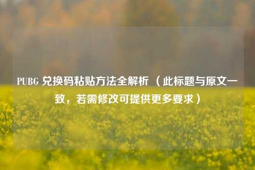 PUBG 兑换码粘贴方法全解析 (此标题与原文一致,若需修改可提供更多要求)