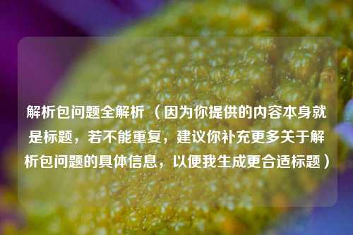 解析包问题全解析 （因为你提供的内容本身就是标题，若不能重复，建议你补充更多关于解析包问题的具体信息，以便我生成更合适标题）
