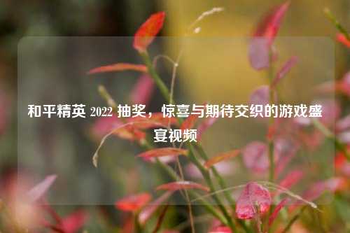 和平精英 2022 抽奖，惊喜与期待交织的游戏盛宴视频