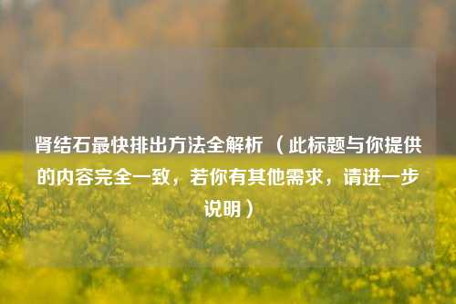 肾结石最快排出方法全解析 （此标题与你提供的内容完全一致，若你有其他需求，请进一步说明）