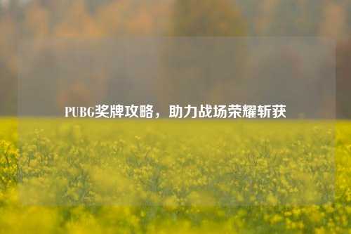 PUBG奖牌攻略,助力战场荣耀斩获