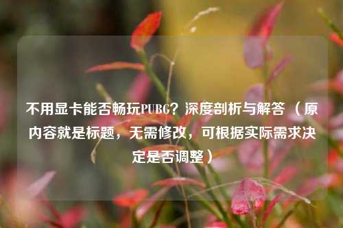不用显卡能否畅玩PUBG?深度剖析与解答 (原内容就是标题,无需修改,可根据实际需求决定是否调整)
