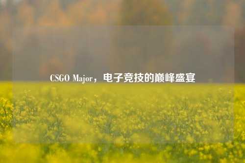 CSGO Major，电子竞技的巅峰盛宴