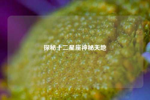 探秘十二星座神秘天地