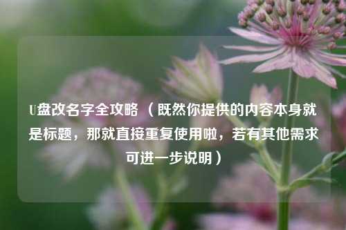 U盘改名字全攻略 (既然你提供的内容本身就是标题,那就直接重复使用啦,若有其他需求可进一步说明)