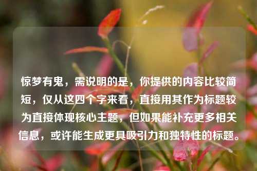 惊梦有鬼,需说明的是,你提供的内容比较简短,仅从这四个字来看,直接用其作为标题较为直接体现核心主题,但如果能补充更多相关信息,或许能生成更具吸引力和独特性的标题。