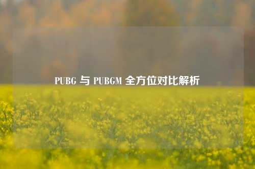 PUBG 与 PUBGM 全方位对比解析