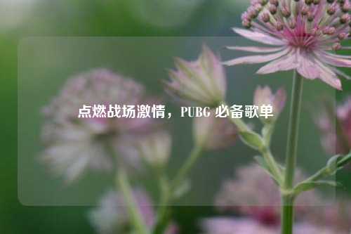 点燃战场激情，PUBG 必备歌单