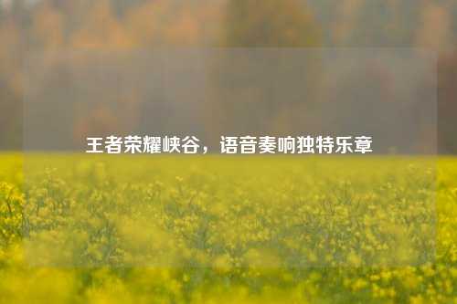 王者荣耀峡谷，语音奏响独特乐章