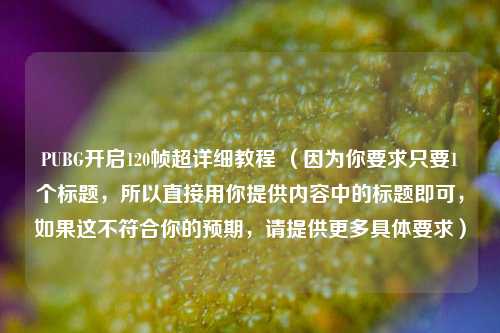 PUBG开启120帧超详细教程 （因为你要求只要1个标题，所以直接用你提供内容中的标题即可，如果这不符合你的预期，请提供更多具体要求）