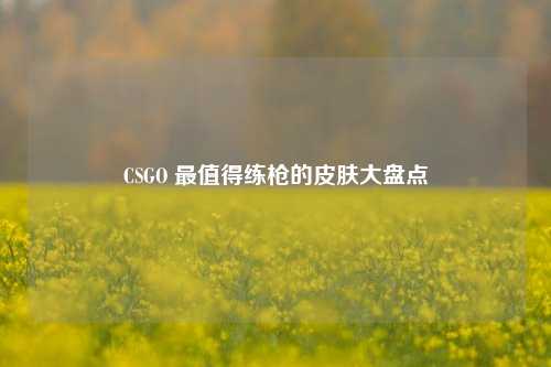 CSGO 最值得练枪的皮肤大盘点