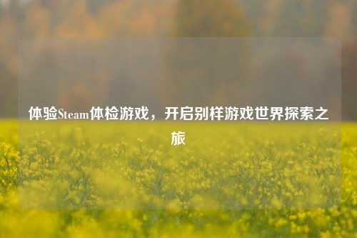 体验Steam体检游戏，开启别样游戏世界探索之旅