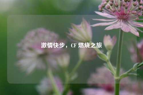 激情快步，CF 燃烧之旅