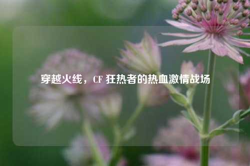 穿越火线，CF 狂热者的热血激情战场