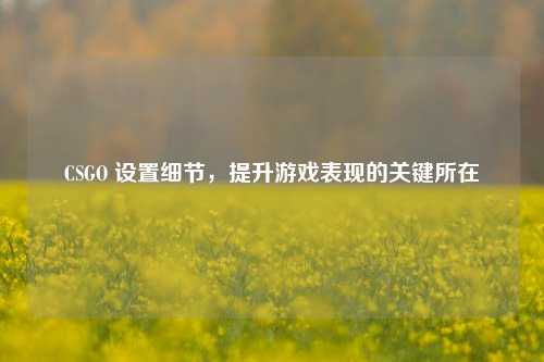 CSGO 设置细节,提升游戏表现的关键所在