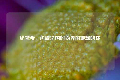 纪梵希，闪耀法国时尚界的璀璨明珠