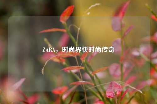 ZARA，时尚界快时尚传奇