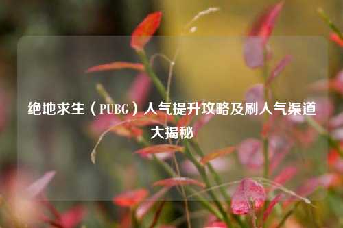 绝地求生(PUBG)人气提升攻略及刷人气渠道大揭秘