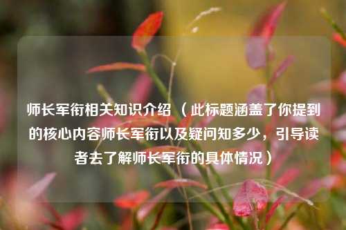 师长军衔相关知识介绍 （此标题涵盖了你提到的核心内容师长军衔以及疑问知多少，引导读者去了解师长军衔的具体情况）