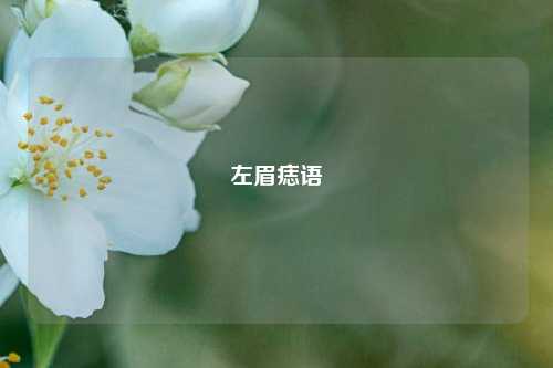 左眉痣语
