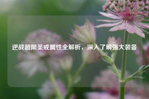逆战超限圣戒属性全解析，深入了解强大装备
