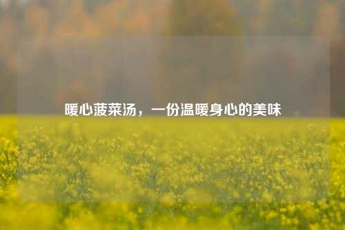 暖心菠菜汤，一份温暖身心的美味