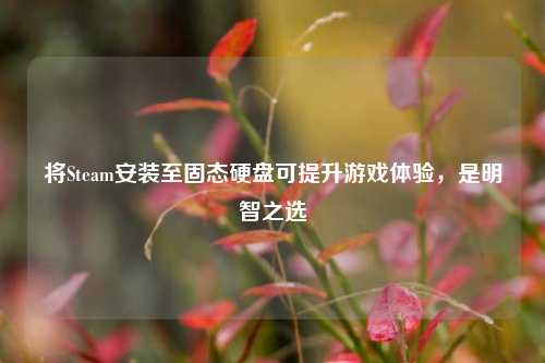 将Steam安装至固态硬盘可提升游戏体验，是明智之选
