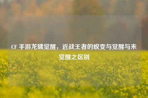CF 手游龙啸觉醒,近战王者的蜕变与觉醒与未觉醒之区别