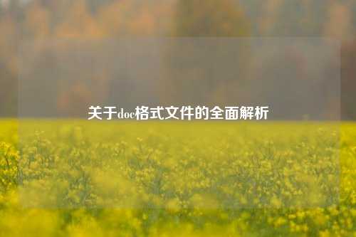 关于doc格式文件的全面解析