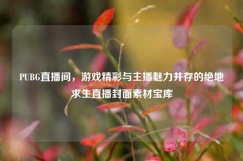 PUBG直播间,游戏精彩与主播魅力并存的绝地求生直播封面素材宝库