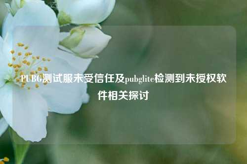 PUBG测试服未受信任及pubglite检测到未授权软件相关探讨