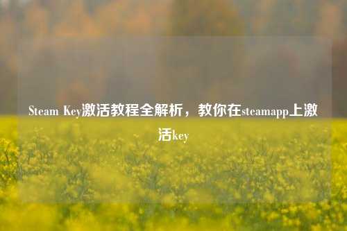 Steam Key激活教程全解析，教你在steamapp上激活key