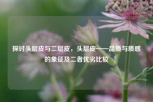 探讨头层皮与二层皮，头层皮——品质与质感的象征及二者优劣比较