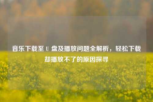 音乐下载至 U 盘及播放问题全解析,轻松下载却播放不了的原因探寻