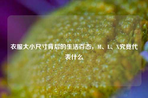 衣服大小尺寸背后的生活百态，M、L、X究竟代表什么