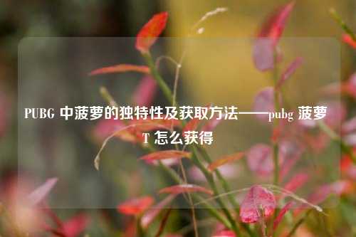 PUBG 中菠萝的独特性及获取方法——pubg 菠萝 T 怎么获得