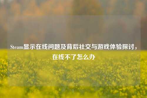Steam显示在线问题及背后社交与游戏体验探讨，在线不了怎么办