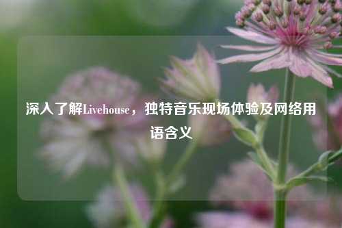 深入了解Livehouse,独特音乐现场体验及网络用语含义