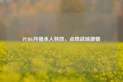 PUBG开镜杀人特效，点燃战场激情