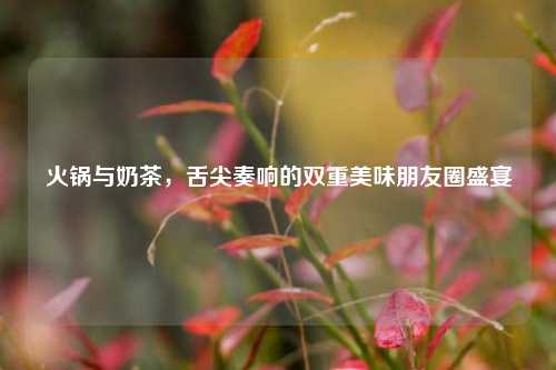 火锅与奶茶，舌尖奏响的双重美味朋友圈盛宴