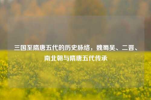 三国至隋唐五代的历史脉络，魏蜀吴、二晋、南北朝与隋唐五代传承