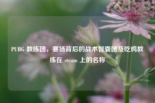 PUBG 教练团，赛场背后的战术智囊团及吃鸡教练在 steam 上的名称