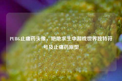 PUBG止痛药头像，绝地求生中游戏世界独特符号及止痛药原型