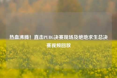 热血沸腾！直击PUBG决赛现场及绝地求生总决赛视频回放